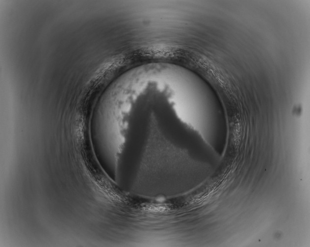 X0000101150643200806270944