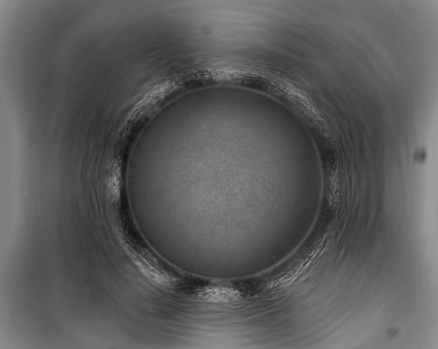 X0000101150644200806270944