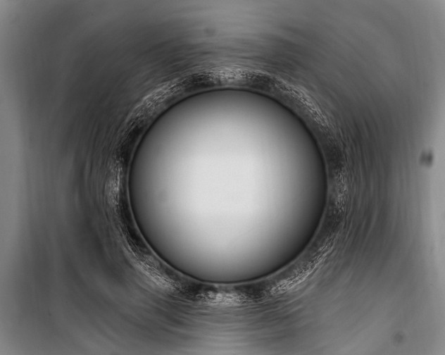 X0000101150645200806270944
