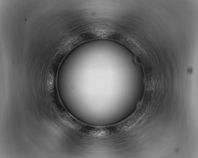 X0000101150646200806270944