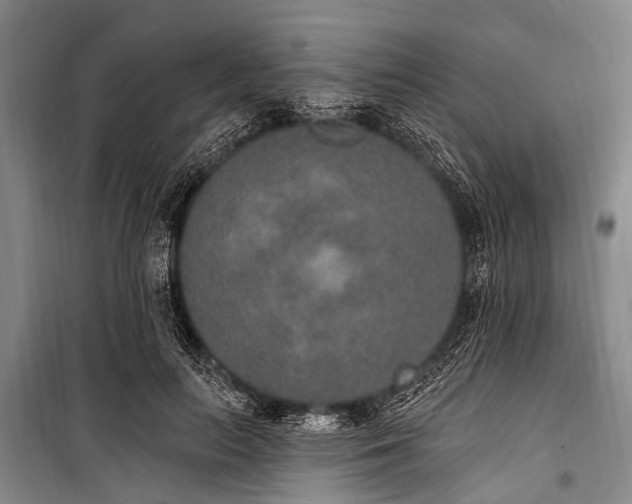 X0000101150647200806270944