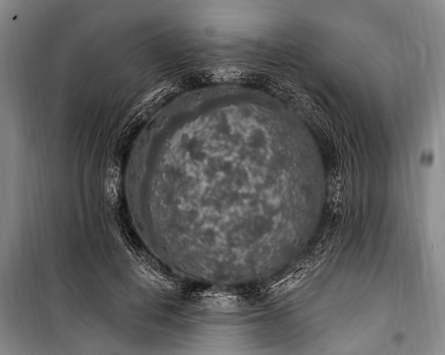 X0000101150648200806270944