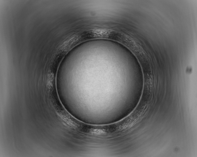 X0000101150649200806270944