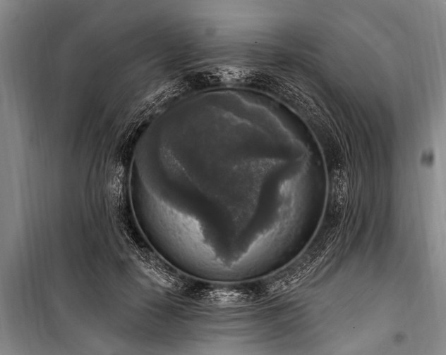 X0000101150650200806270944