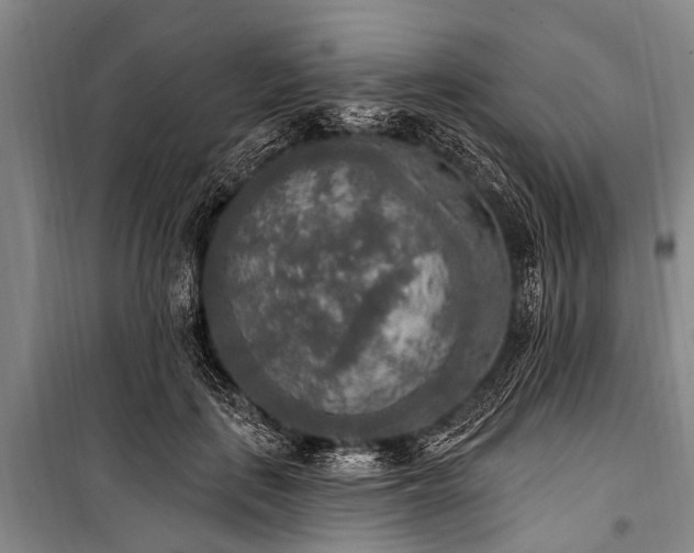X0000101150651200806270944