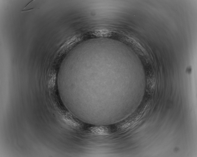 X0000101150652200806270944