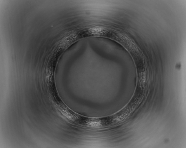 X0000101150653200806270944