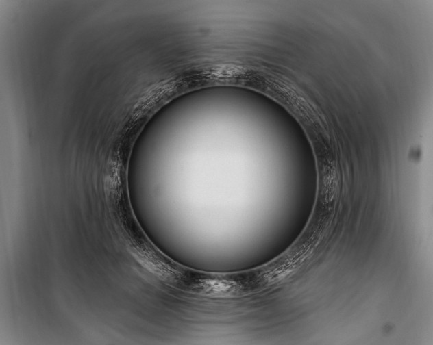 X0000101150654200806270944