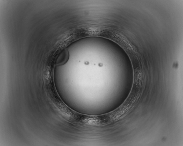 X0000101150655200806270944