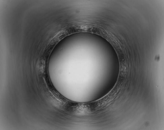 X0000101150656200806270944