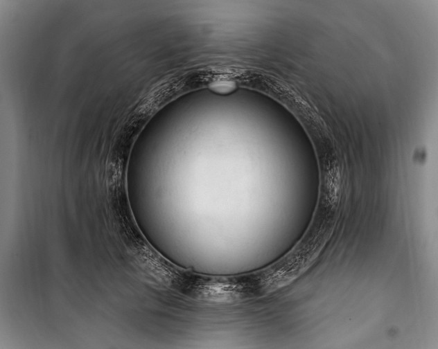 X0000101150657200806270944