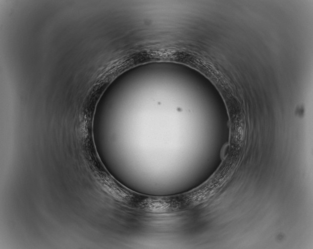 X0000101150658200806270944