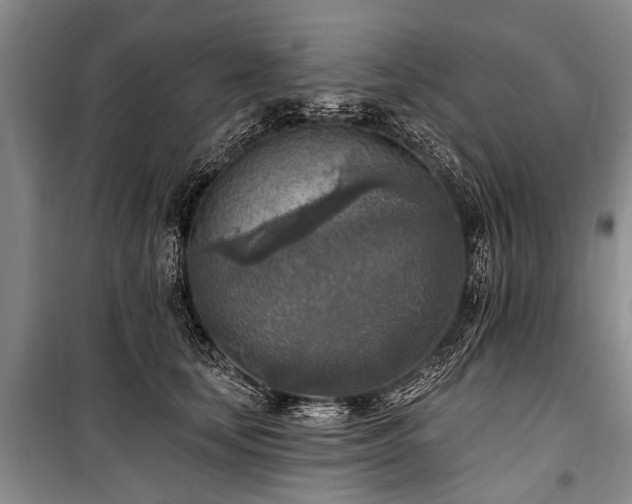 X0000101150659200806270944