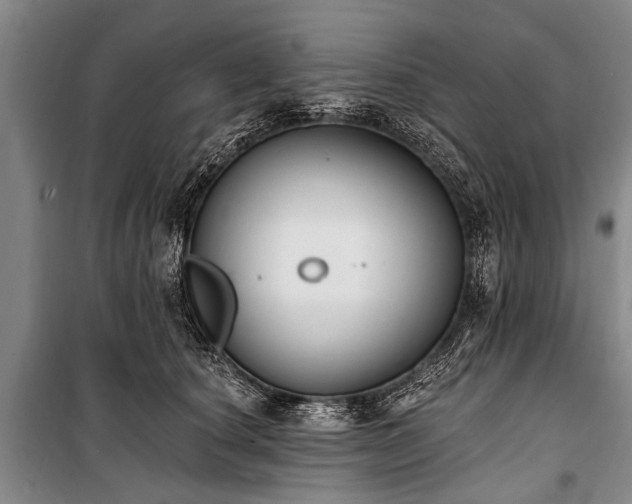 X0000101150660200806270944