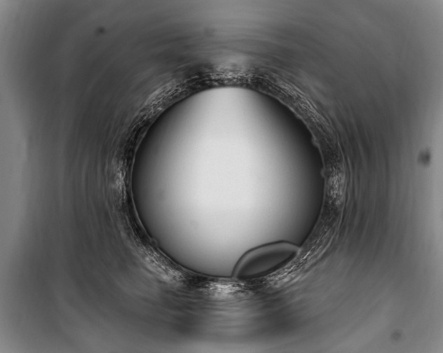 X0000101150662200806270944