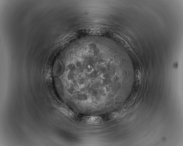 X0000101150663200806270944