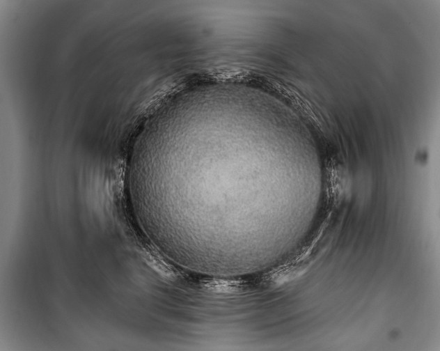 X0000101150664200806270944