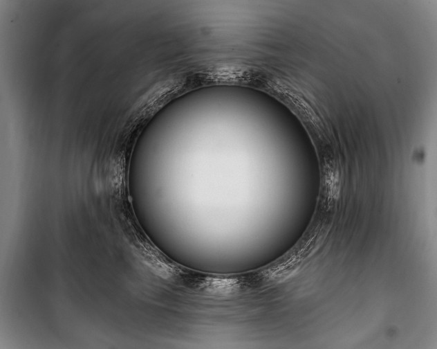 X0000101150665200806270944