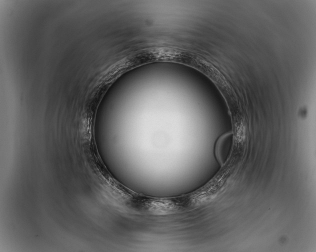 X0000101150666200806270944