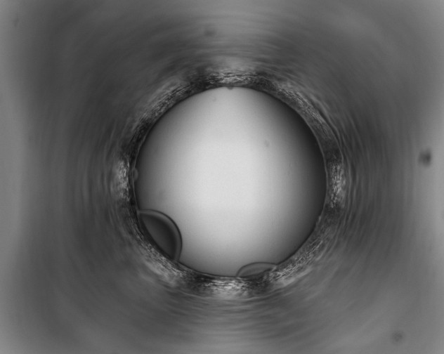 X0000101150667200806270944