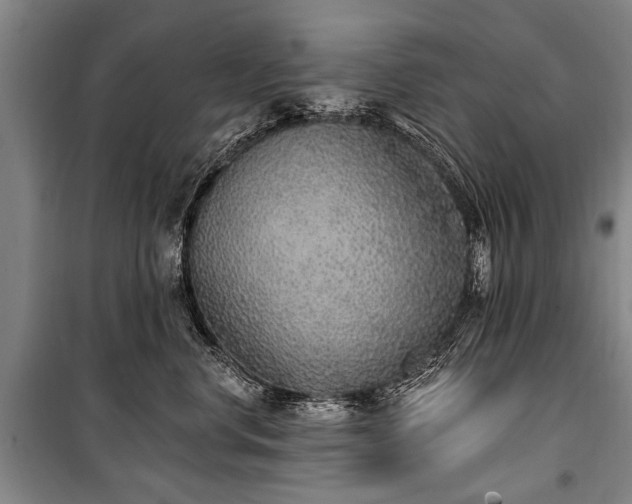 X0000101150668200806270945