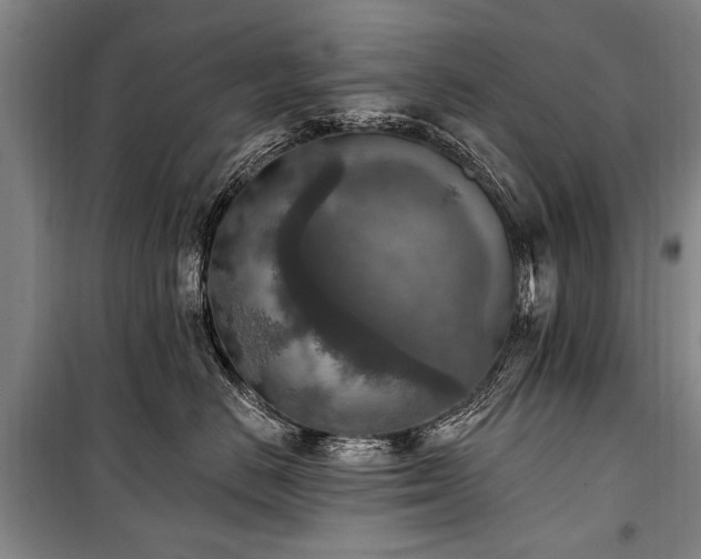 X0000101150670200806270945