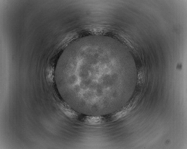 X0000101150671200806270945