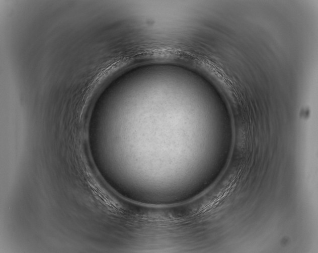 X0000101150673200806270944