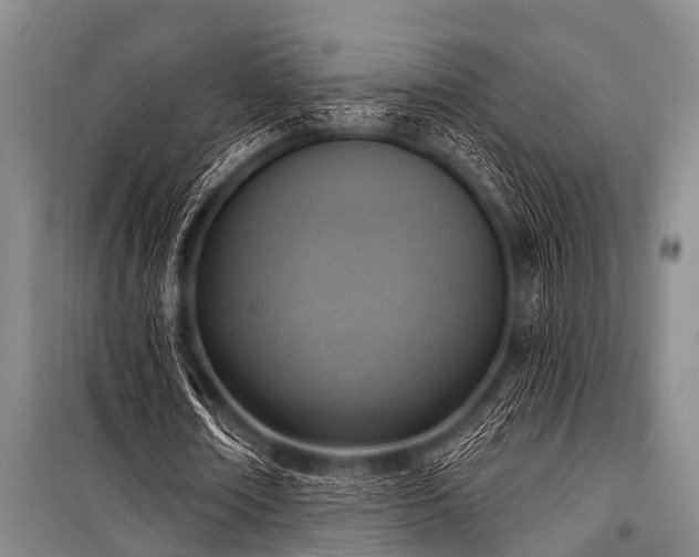 X0000101150674200806270944