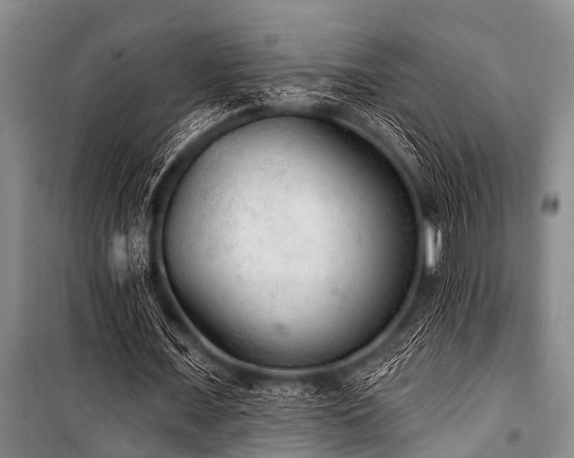X0000101150675200806270944