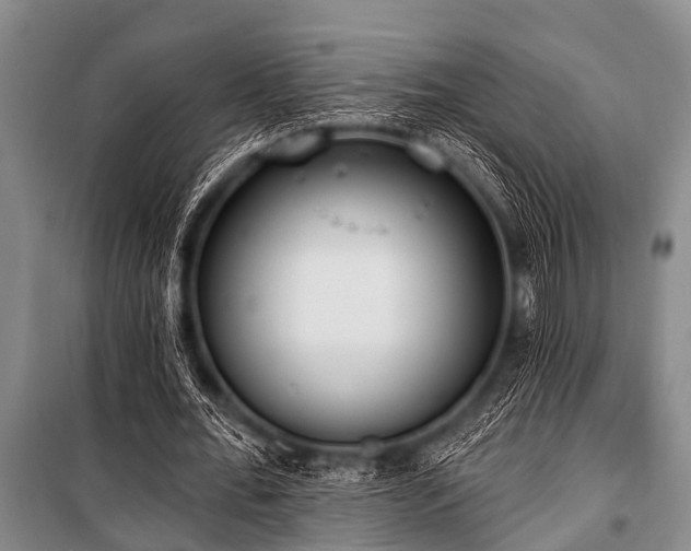 X0000101150676200806270944