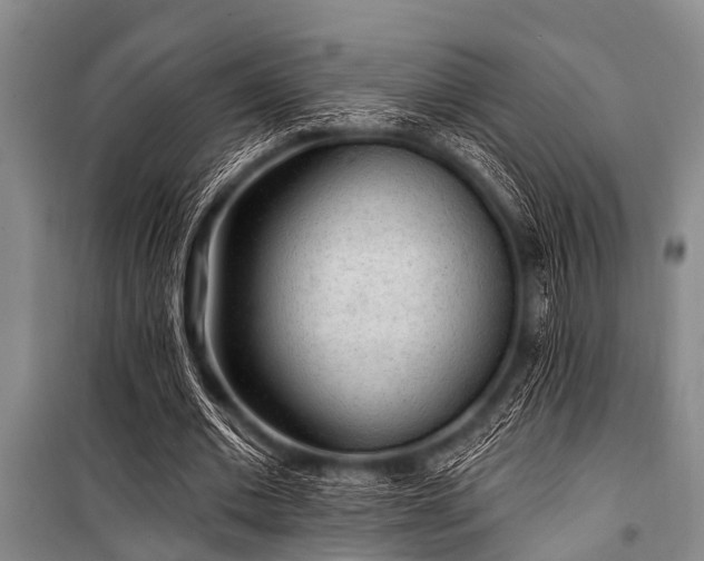 X0000101150677200806270944