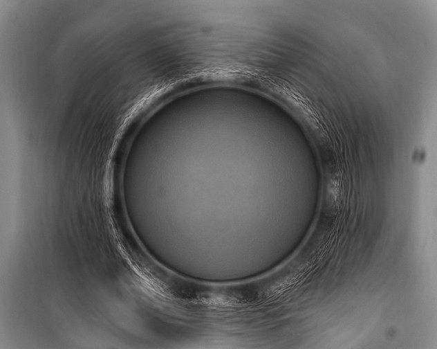 X0000101150678200806270944