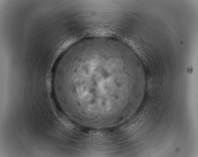 X0000101150679200806270944
