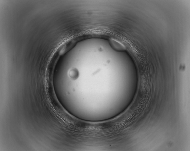 X0000101150680200806270944
