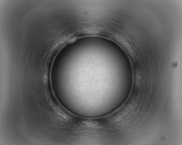 X0000101150681200806270944