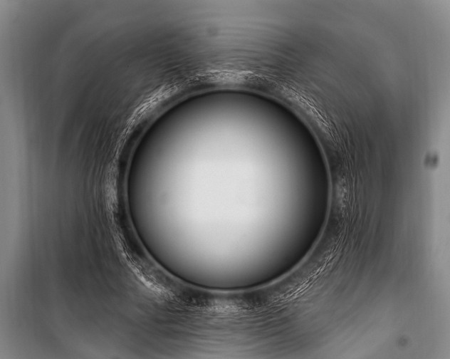 X0000101150682200806270944