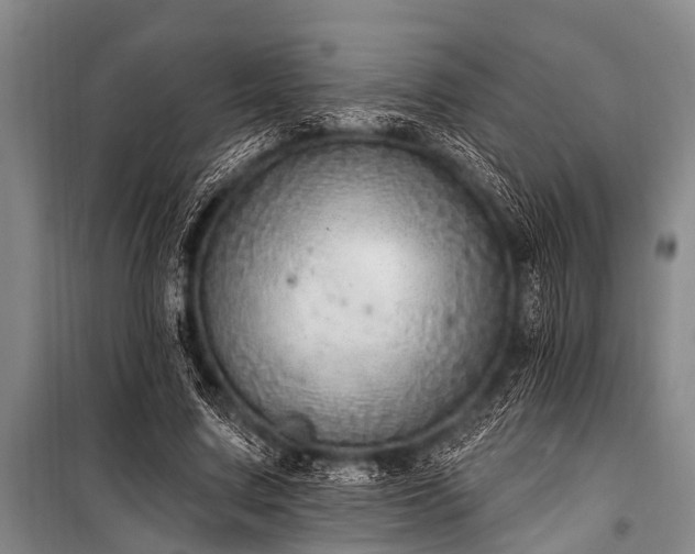 X0000101150683200806270944