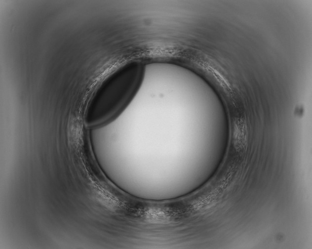 X0000101150684200806270944