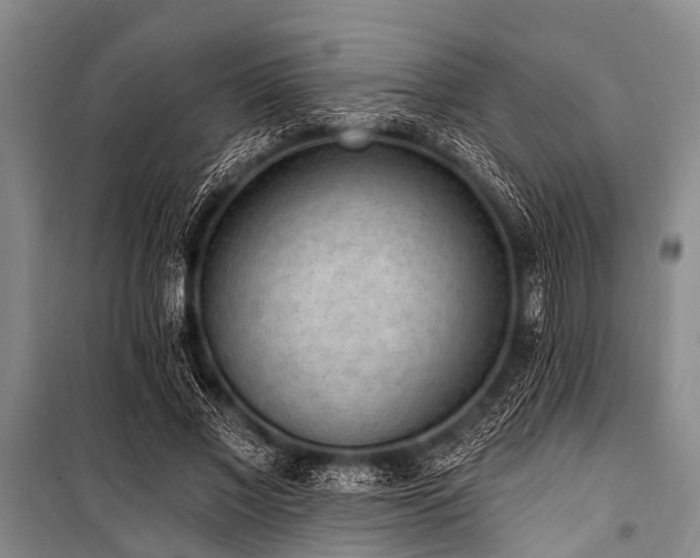 X0000101150685200806270944