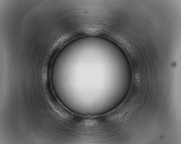 X0000101150686200806270944
