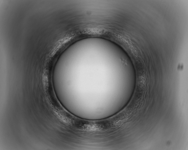 X0000101150688200806270944
