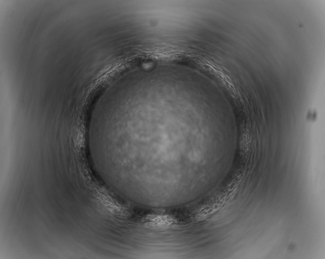 X0000101150689200806270944