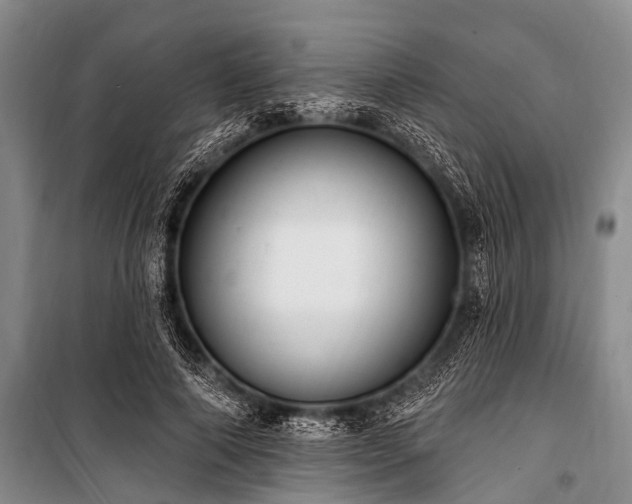 X0000101150690200806270944