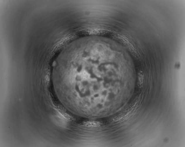 X0000101150691200806270944