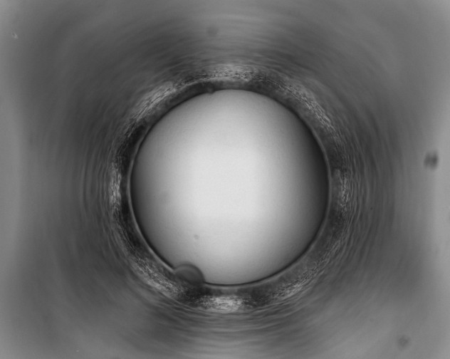 X0000101150692200806270944