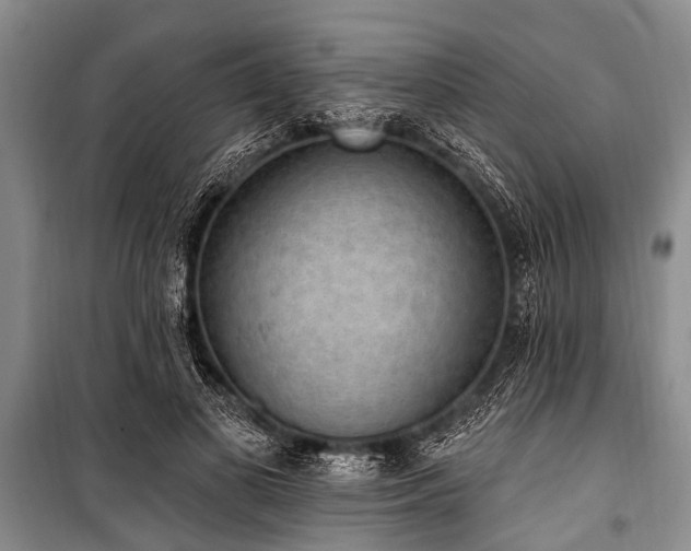 X0000101150693200806270944