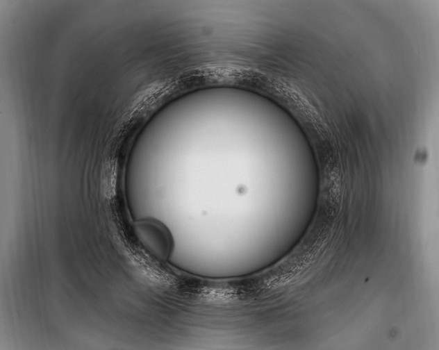 X0000101150694200806270944