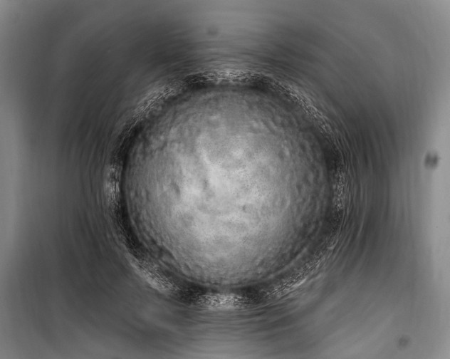 X0000101150695200806270944