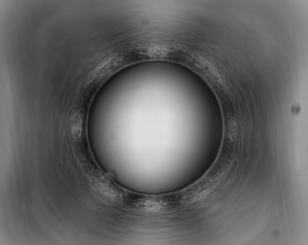 X0000101150697200806270944